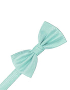 Cardi Pool Herringbone Kids Bow Tie