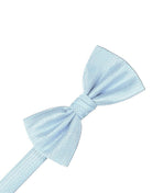 Cardi Powder Blue Herringbone Bow Tie