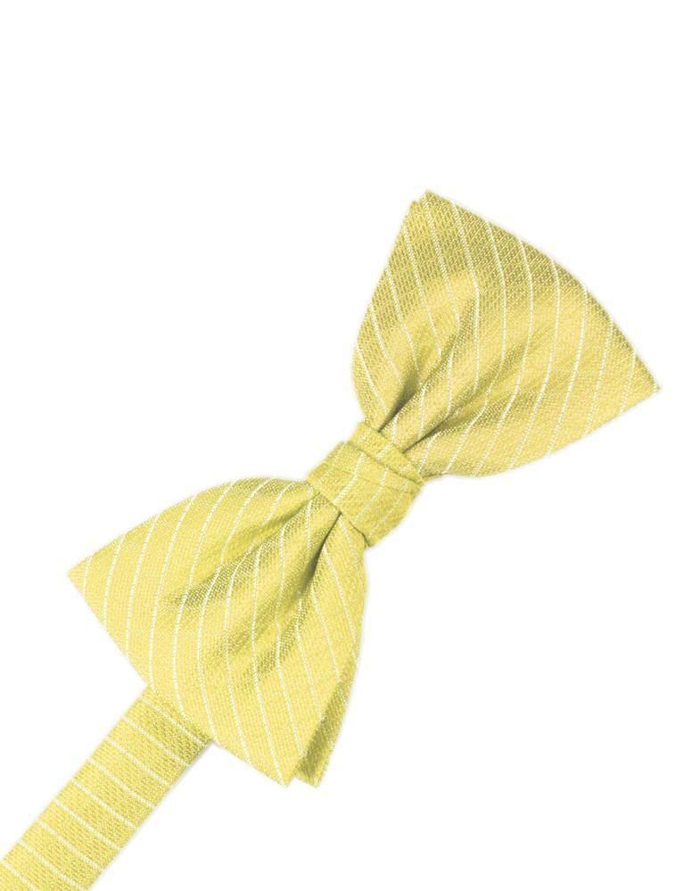 Cardi Pre-Tied Buttercup Palermo Bow Tie