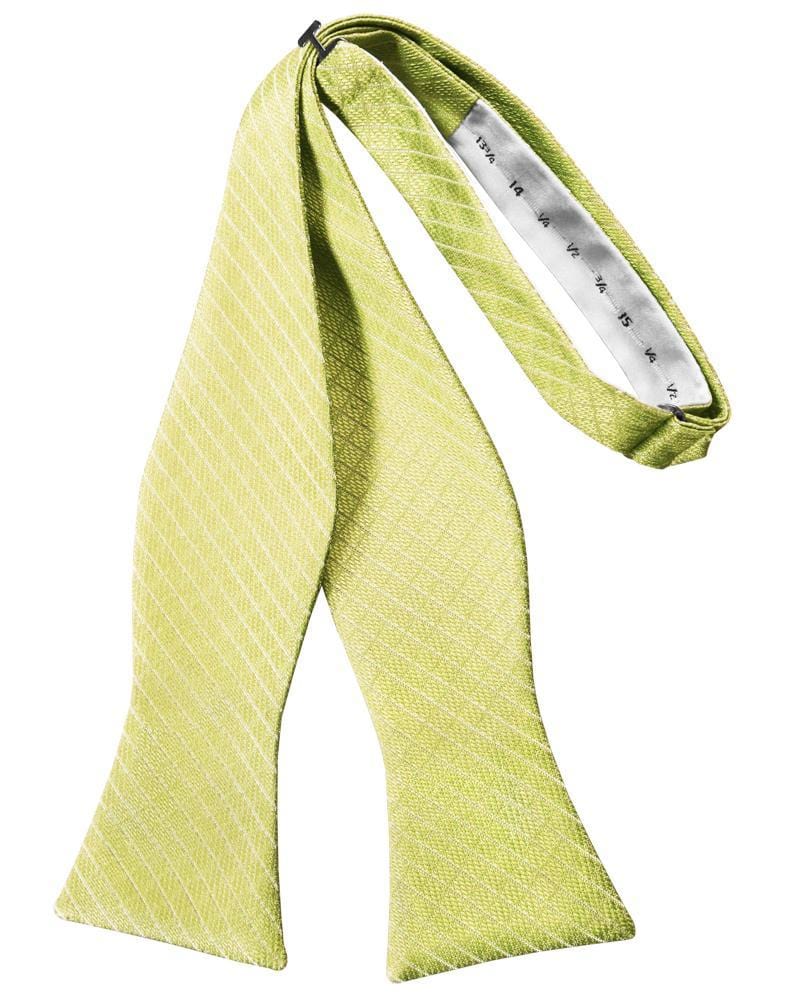 Cardi Self Tie Buttercup Palermo Bow Tie