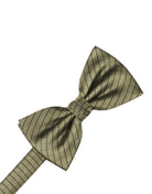 Cardi Pre-Tied Champagne Palermo Kids Bow Tie