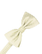 Cardi Pre-Tied Ivory Palermo Bow Tie