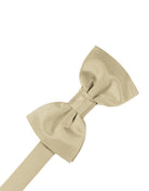 Cardi Pre-Tied Bamboo Luxury Satin Bow Tie