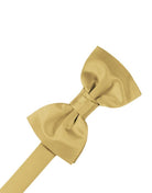 Cardi Pre-Tied Harvest Maize Luxury Satin Bow Tie