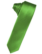 Classic Collection Kelly Luxury Satin Skinny Necktie