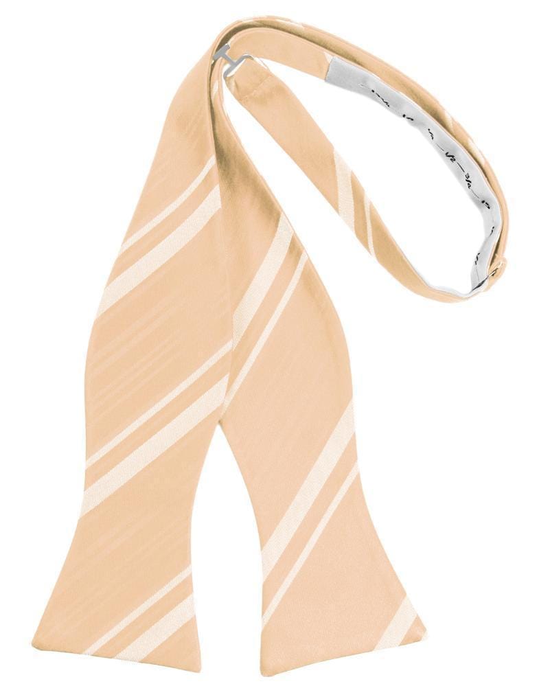 Cardi Self Tie Apricot Striped Satin Bow Tie