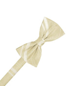 Cardi Pre-Tied Bamboo Striped Satin Bow Tie