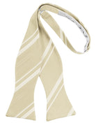 Cardi Self Tie Bamboo Striped Satin Bow Tie