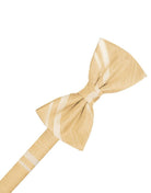 Cardi Pre-Tied Harvest Maize Striped Satin Bow Tie