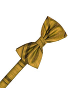 Cardi Pre-Tied New Gold Striped Satin Kids Bow Tie