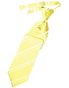 Cardi Sunbeam Striped Satin Kids Necktie