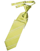 Cardi Willow Striped Satin Kids Necktie