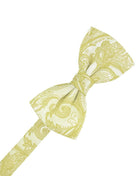 Cardi Pre-Tied Banana Tapestry Kids Bow Tie