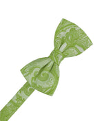 Cardi Pre-Tied Clover Tapestry Bow Tie