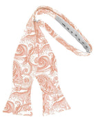 Cardi Self Tie Peach Tapestry Bow Tie