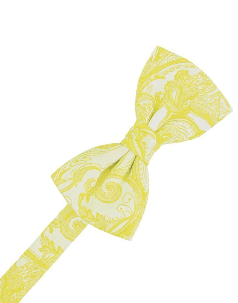 Cardi Pre-Tied Willow Tapestry Kids Bow Tie