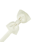 Cardi Ivory Venetian Kids Bow Tie