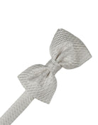 Cardi Platinum Venetian Kids Bow Tie