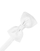 Cardi White Venetian Kids Bow Tie