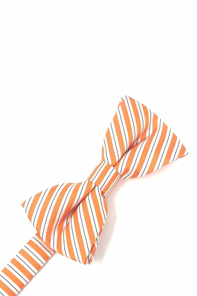 Cardi Pre-Tied Orange Newton Stripe Bow Tie