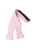 Cardi Self Tie Pink Newton Stripe Bow Tie