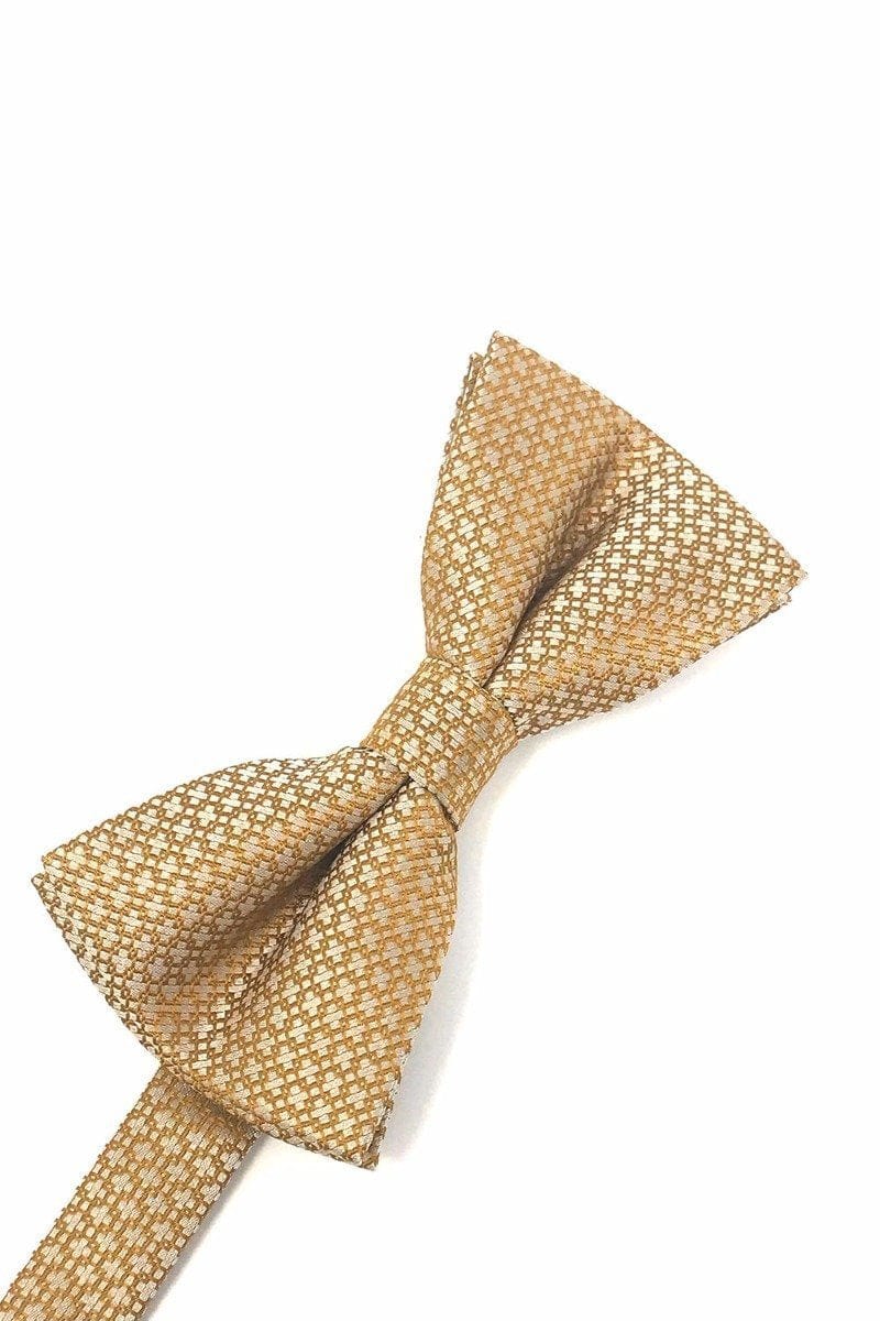 Cardi Pre-Tied Gold Regal Kids Bow Tie