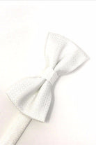 Cardi Pre-Tied White Regal Bow Tie