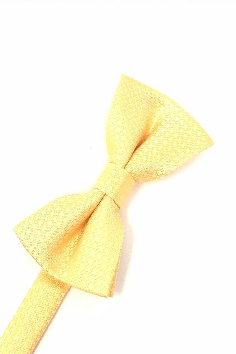 Cardi Pre-Tied Harvest Maize Regal Kids Bow Tie