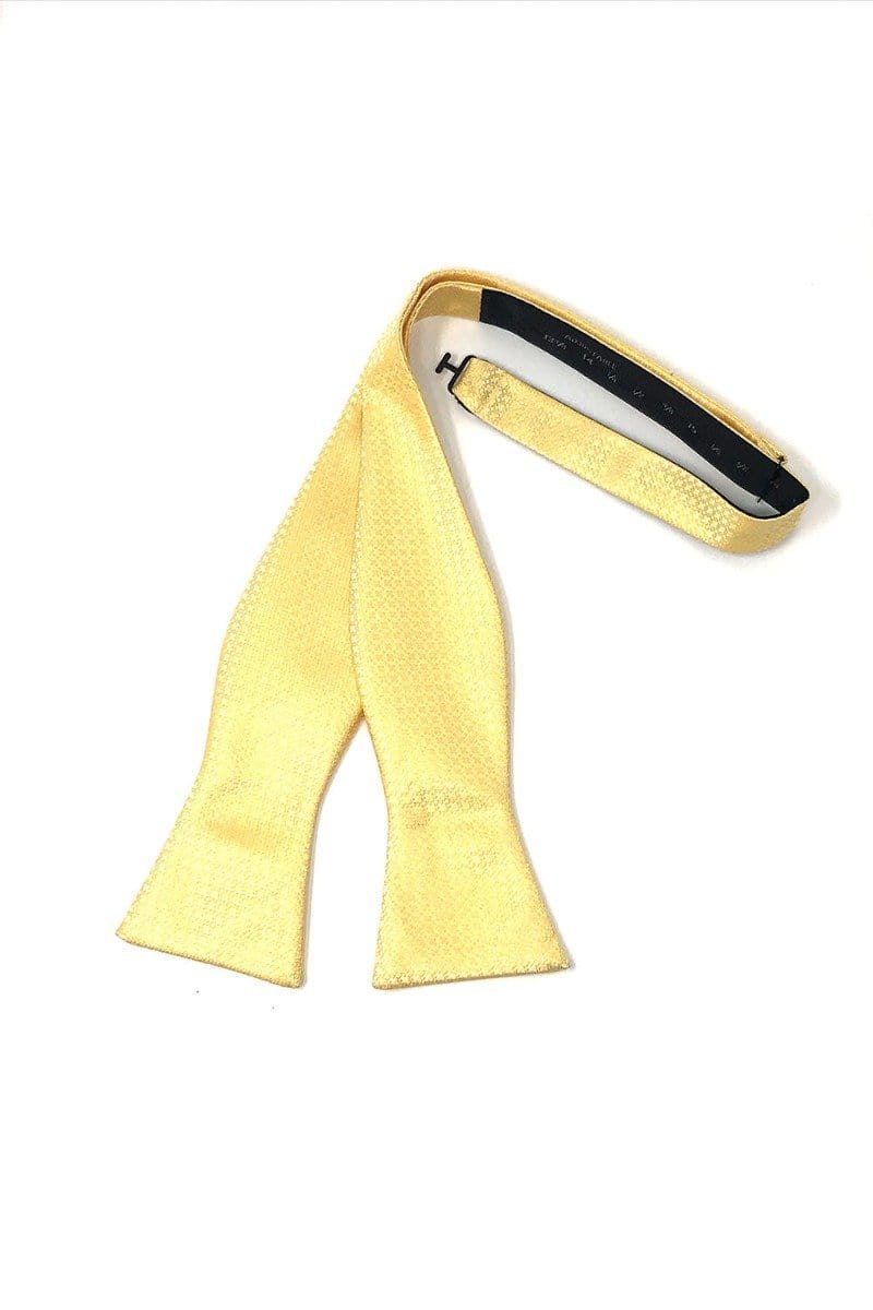 Cardi Self Tie Harvest Maize Regal Bow Tie